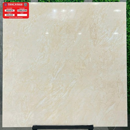 Gạch Thạch Bàn 800x800 TGB80-0390