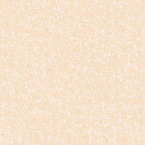 Gạch Titami 50x50 CTM 5606