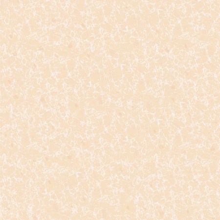 Gạch Titami 50x50 CTM 5606