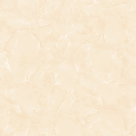 Gạch Titami 50x50 CTM 5683