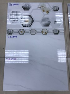 Gạch Viglacera 30x60 3909