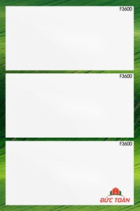 Gạch Viglacera 30x60 F3600
