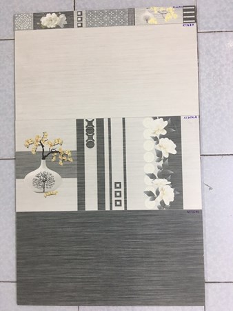 Gạch Viglacera 30x60 KT 3689