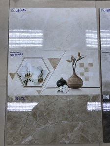 Gạch Viglacera 30x60 bộ 3901