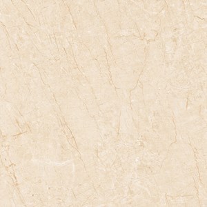 Gạch Viglacera 800x800 TQ 803