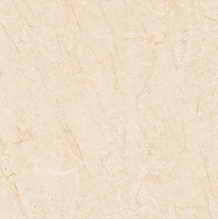 Gạch Viglacera 800x800 TQ 803