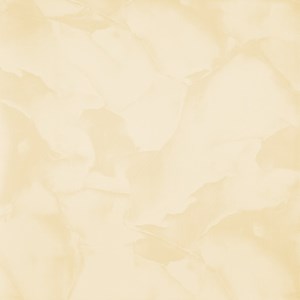 Gạch Viglacera B6007