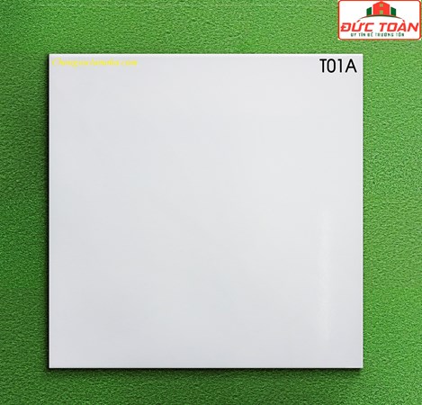 Gạch Viglacera T01A