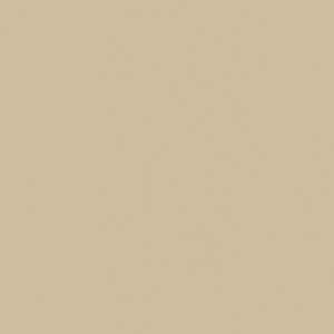 Gạch Viglacera TS5-602