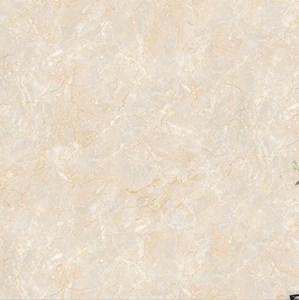 Gạch bóng kính giá rẻ 600x600 TC010