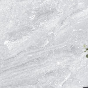 Gạch bóng kính giá rẻ 600x600 TC016