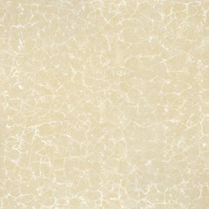 Gạch bóng kính mạng nhện 2 da Ý Mỹ P67005