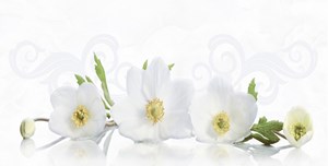 Gạch điểm Prime 9940