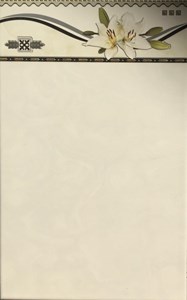 Gạch giá rẻ 25x40 QV25021