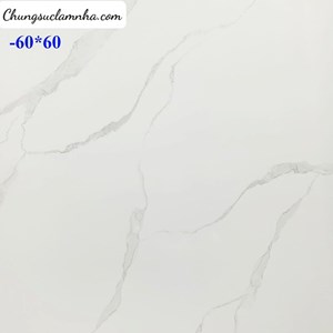 Gạch lát nền PRIME 600x600 15213