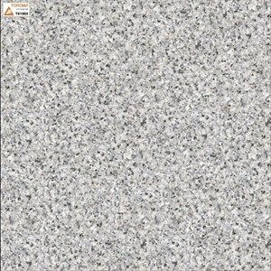 Gạch lát nền Toroma 60x60 T61903