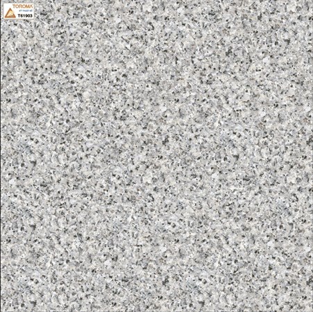 Gạch lát nền Toroma 60x60 T61903