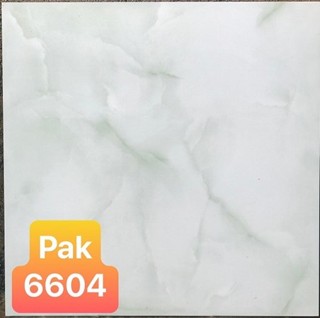 Gạch men bóng 600x600 6604