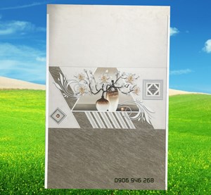 Gạch men mờ hoàng gia 30x60 36002