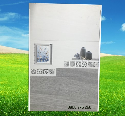 Gạch men mờ hoàng gia 30x60 36004