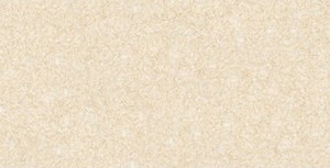 Gạch ốp Đồng Tâm Nhatrang 001LA