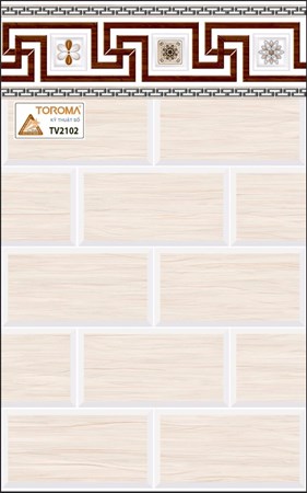 Gạch ốp TOROMA 2102