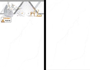 Gạch ốp TOROMA 2116