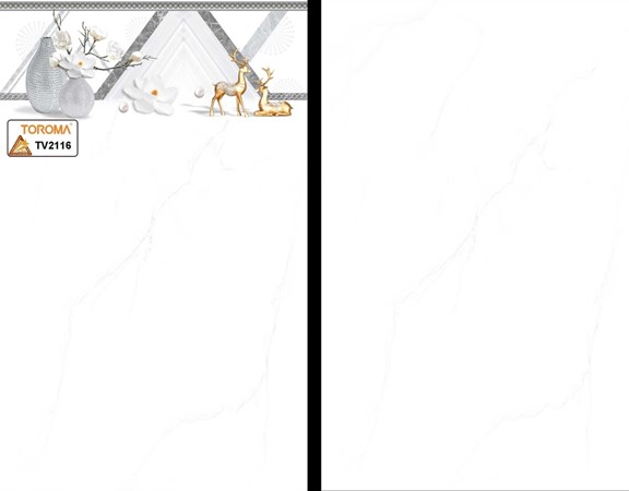 Gạch ốp TOROMA 2116