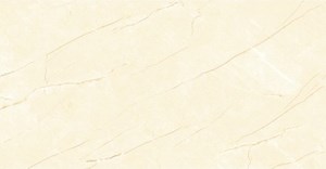 Gạch ốp mờ Đồng Tâm Amber003