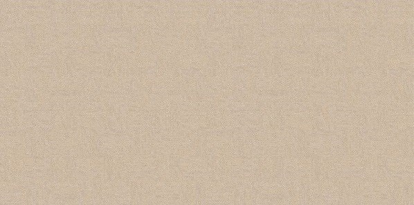 Gạch ốp mờ Đồng Tâm Cotton006