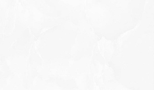 Gạch ốp men bóng TASA 2004-STN