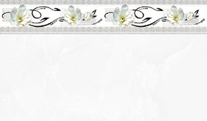 Gạch ốp men bóng TASA 2006-STN