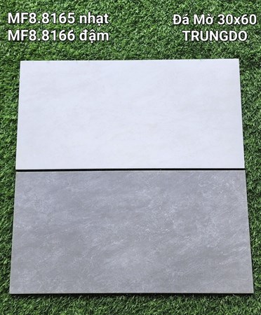 Đá ốp lát Trung Đô 8165