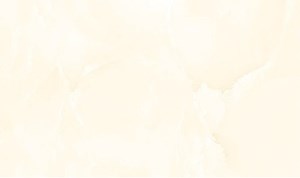 Gạch ốp tường men bóng TASA 2003-STN