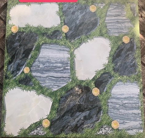 Gạch sân vườn 484