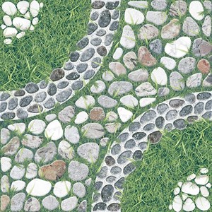 Gạch sân vườn 50x50 TASA 5805