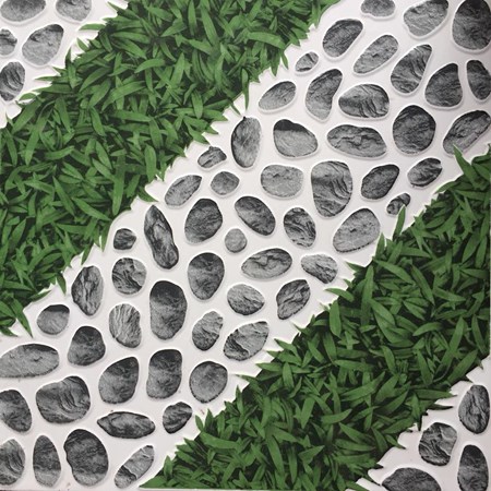 Gạch sân vườn Viglacera SH 438