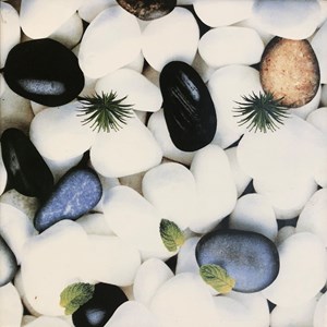 Gạch sân vườn viglacera SVKS 490