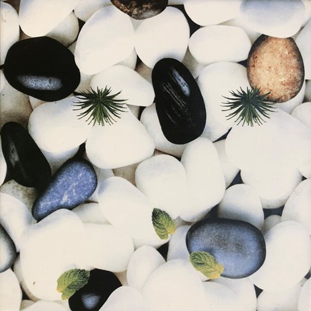 Gạch sân vườn viglacera SVKS 490