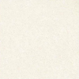 Gạch taicera P67702N