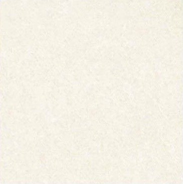 Gạch taicera P67702N