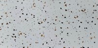 Gạch trang trí Terrazzo ĐT3060420