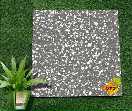 /UserUpload/Product/Gach-trang-tri-Terrazzo-DT5T3.jpg