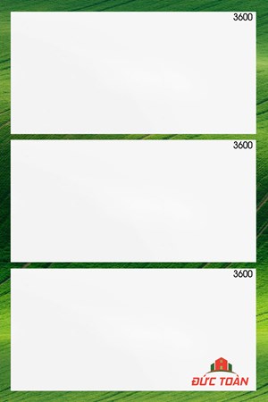 Gạch trắng trơn 300x600 Thanh Thanh C-3600