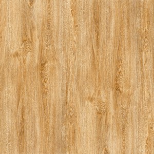 Gạch vân gỗ PRIME 600x600 9641