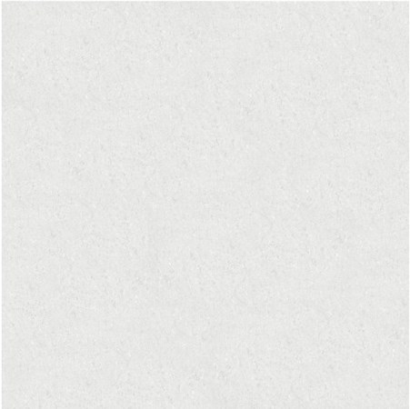 Gạch xà cừ trắng 600x600 CA 6119