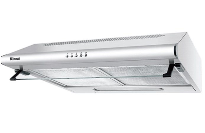 Máy hút mùi Rinnai RH-S206-GC