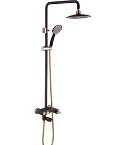 Sen cây nóng lạnh Roland RL 21A