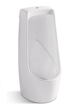 Tiểu nam Kassani 6603