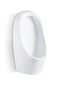 Tiểu nam Kassani 6610